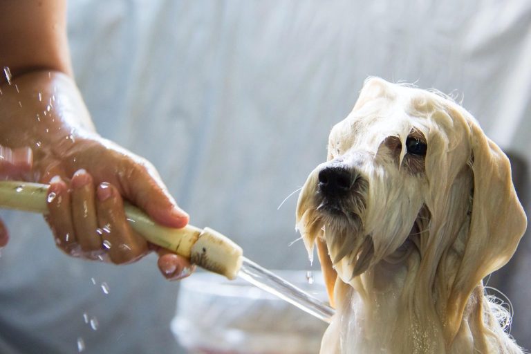 Bath time
